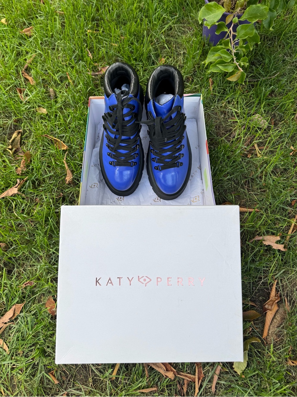 Katy Perry Lace Up Ankle Boots Colbat Blue/Blk Size 9M - Picture 2 of 9